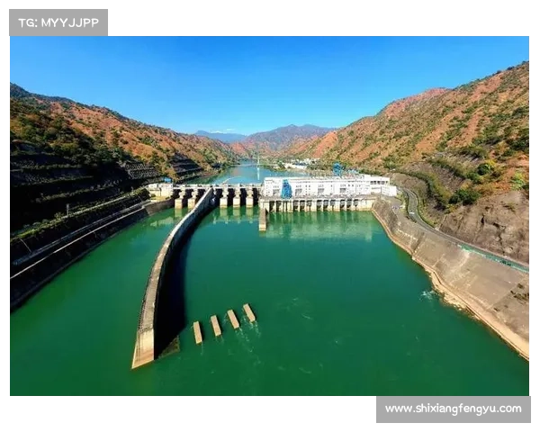 为何蓄能值在龙跃武器中占据关键地位影响战斗策略 为何蓄能值在龙跃武器中占据关键地位影响战斗策略