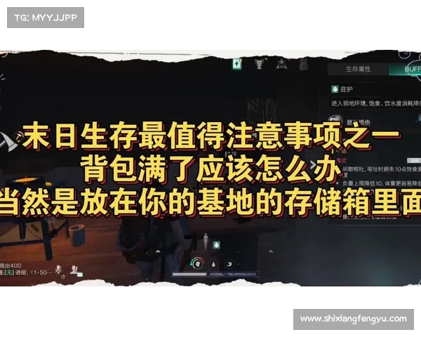 探索辐射避难所生存秘诀全面攻略助你在末日世界中长存 探索辐射避难所生存秘诀全面攻略助你在末日世界中长存