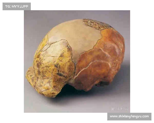古代遗址中的黄金秘宝揭秘探寻千年未解之谜 古代遗址中的黄金秘宝揭秘探寻千年未解之谜